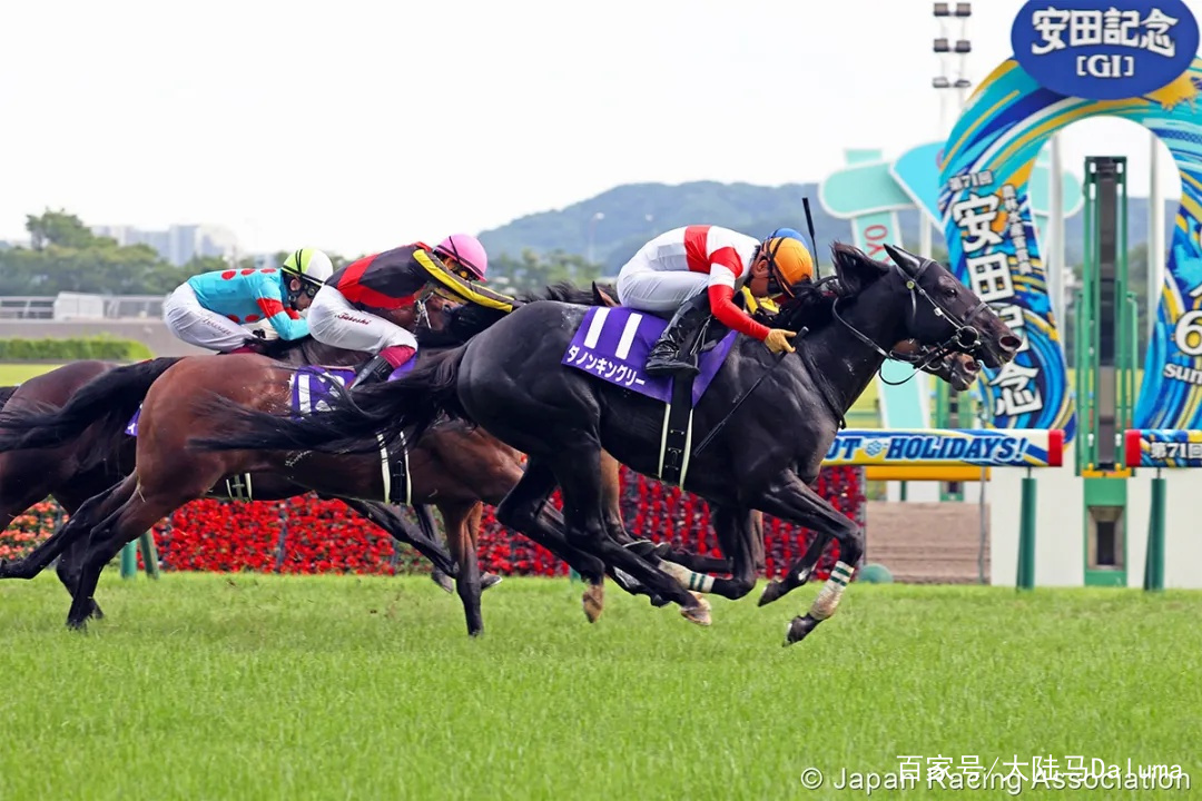 香港特馬王中王中王,，揭秘背后的故事與神秘面紗,，揭秘香港特馬王中王中王的神秘面紗與背后故事