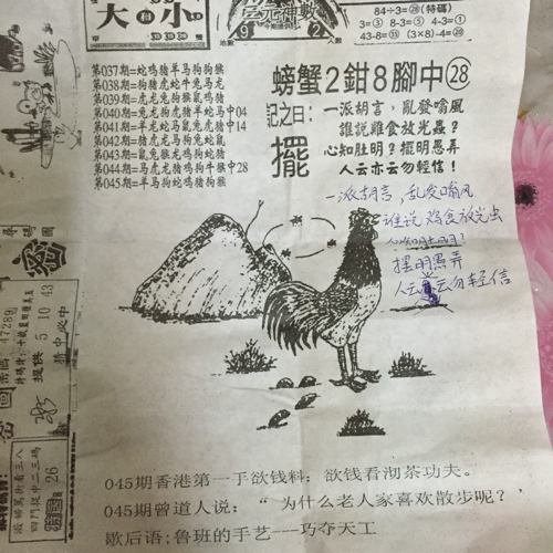 王中王幽默解一肖——探尋生肖之趣，王中王幽默解讀生肖之謎，探尋生肖趣味之旅