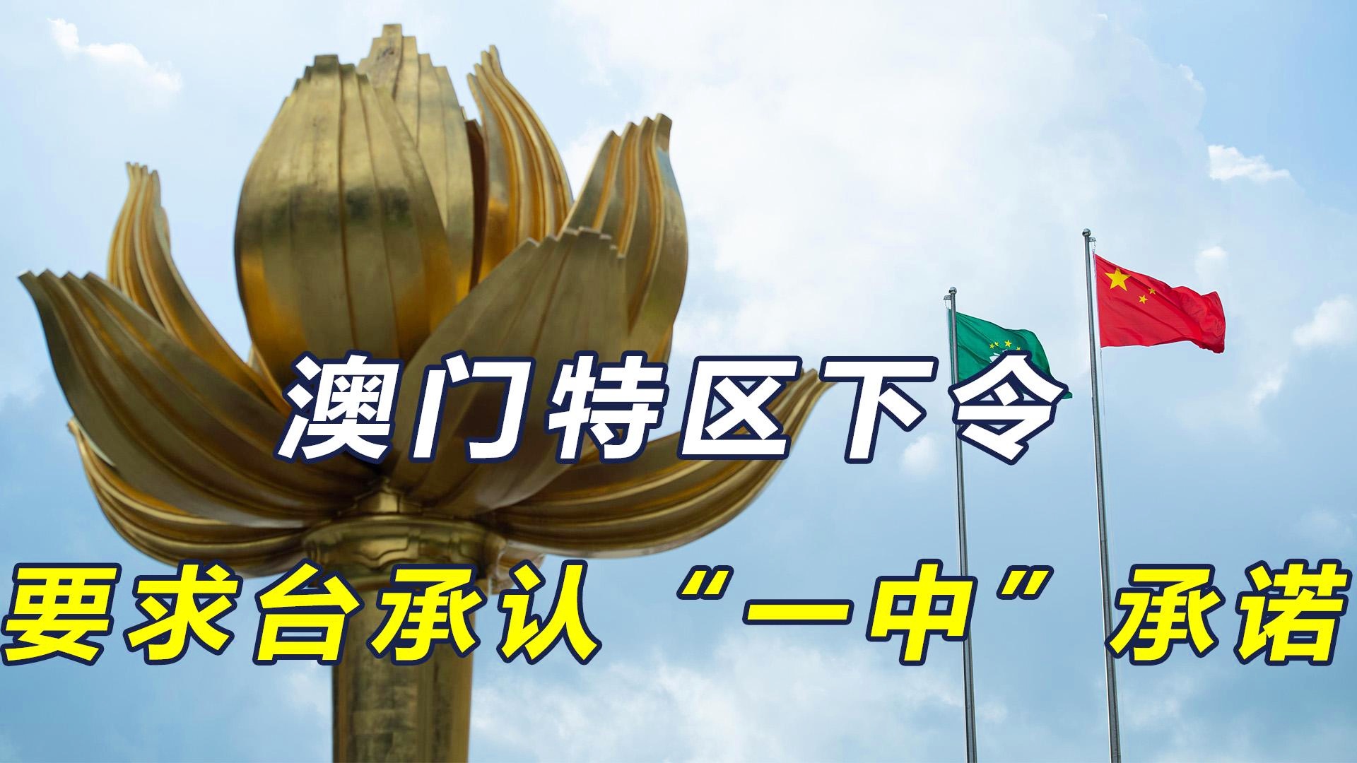 澳門一碼一肖一特一中直播，探索與體驗獨特的直播魅力,，澳門直播盛典,，探索一碼一肖一特一中的獨特魅力