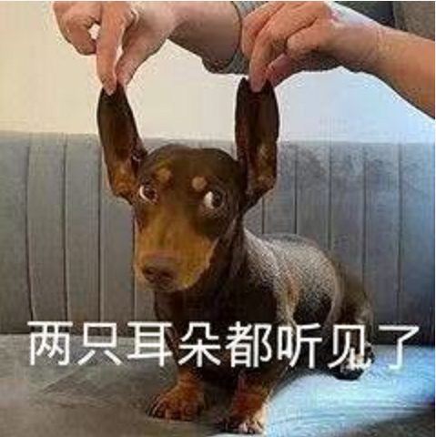 王中王四不像必正一肖——揭秘背后的奧秘,，揭秘王中王四不像必正一肖背后的秘密