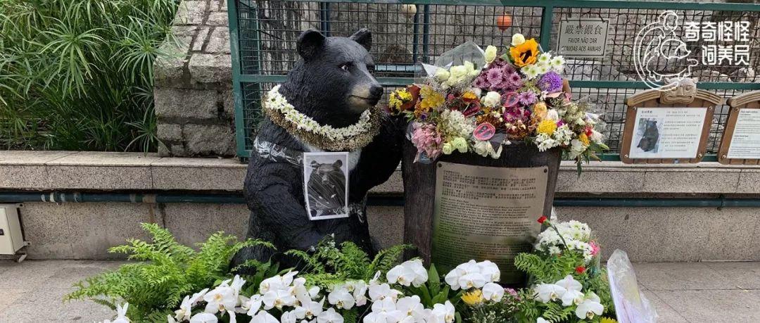 澳門今天最快開獎結(jié)果及彩票開獎信息詳解,，澳門今日彩票開獎結(jié)果及最新開獎信息詳解