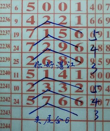 二中二一肖一尾的計(jì)算方法詳解，二中二一肖一尾的計(jì)算方法深度解析