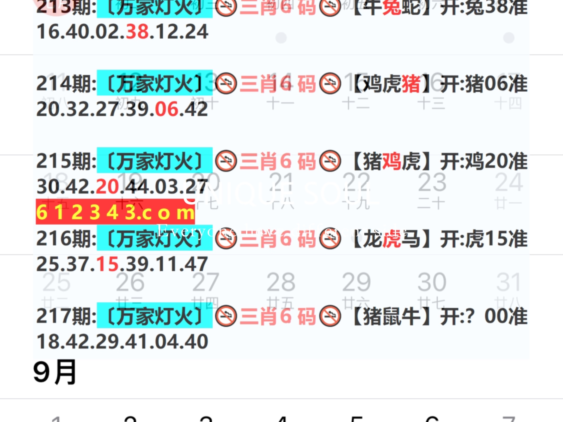 新澳門期期免費(fèi)資料,，探索澳門博彩文化的秘密,，澳門博彩文化探秘，新澳門期期免費(fèi)資料解析