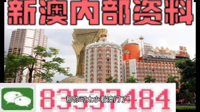 新澳門資料大全免費(fèi),，探索澳門的文化與魅力,，澳門文化與魅力大全，免費(fèi)新澳門資料探索之旅