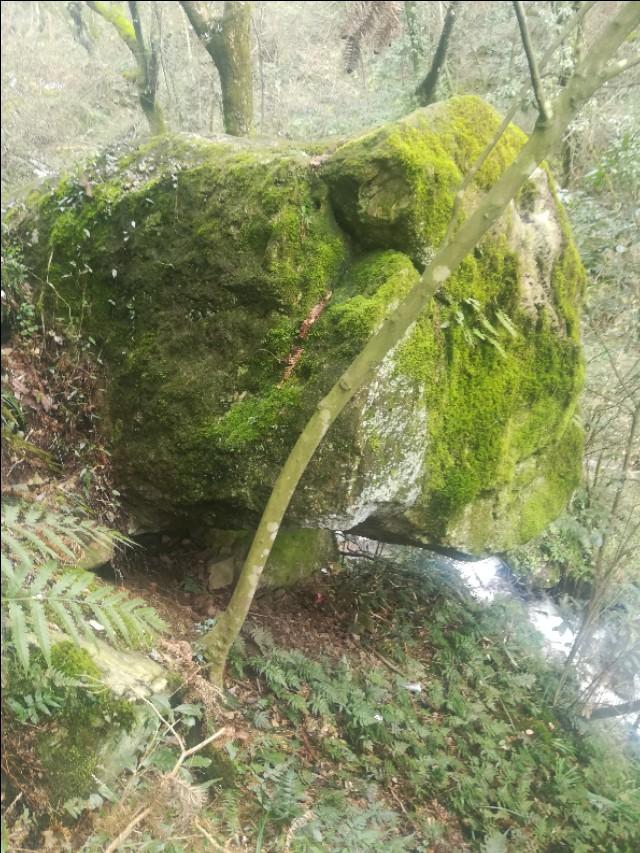 揭秘劉伯溫四肖不像必中一肖的神秘預(yù)測(cè)藝術(shù),，劉伯溫四肖神秘預(yù)測(cè)揭秘,，揭秘必中一肖的神秘預(yù)測(cè)藝術(shù)。