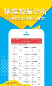 王中王四肖一碼，解密背后的故事與探索其SEO價值，王中王四肖一碼，背后的故事與SEO價值探索