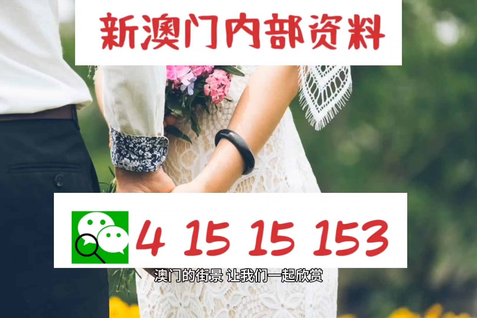 新澳門精準(zhǔn)資料期期精準(zhǔn)，深度解析與SEO優(yōu)化策略,，澳門精準(zhǔn)資料深度解析與SEO優(yōu)化策略實(shí)戰(zhàn)指南