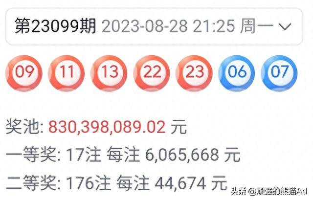王中王彩票