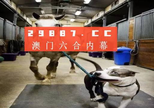 澳門一肖一碼一必中一肖同舟前進(jìn)——揭秘彩票背后的秘密與策略,，澳門彩票揭秘，一肖一碼必中策略與同舟共濟(jì)的前進(jìn)之路