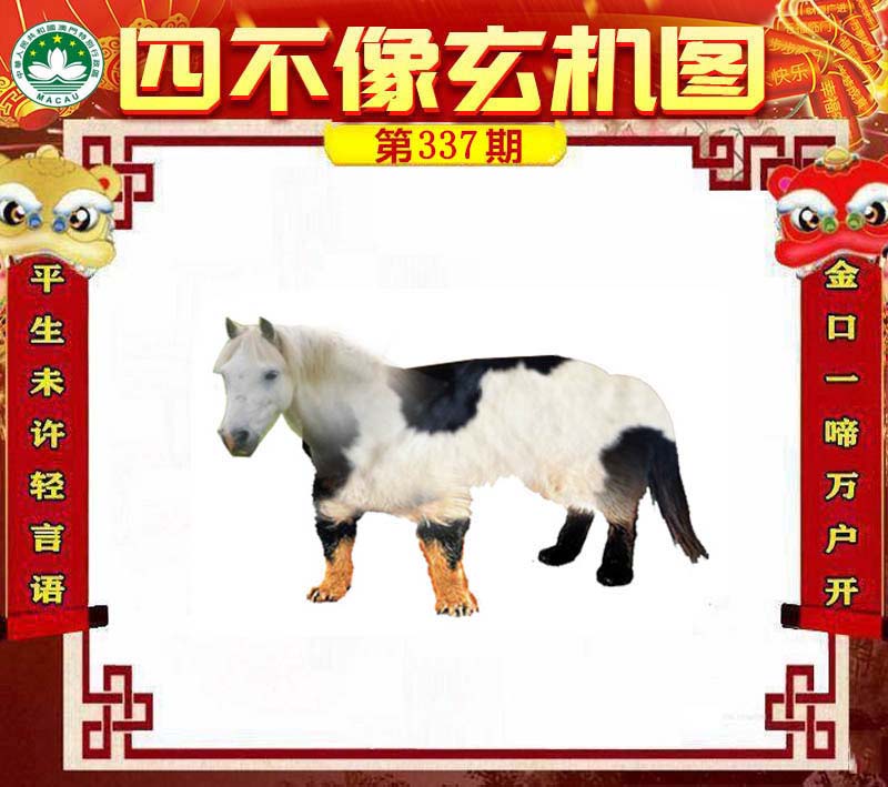 四不像必中一肖王中王,，揭秘彩票背后的秘密,，揭秘彩票背后的秘密，四不像必中一肖王中王揭秘彩票真相