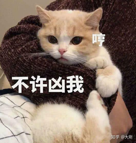 王中王是何物,？解讀生肖之謎,，揭秘生肖之謎，王中王是何物,？