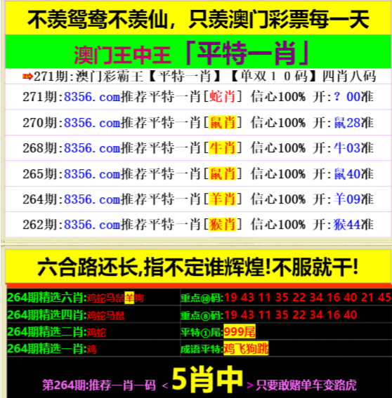 王中王資料一肖中特天查，深度解析與SEO優(yōu)化策略,，王中王資料一肖中特天查深度解析與SEO優(yōu)化策略探討