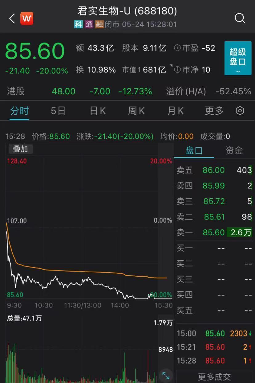 投資潛力與前景展望分析