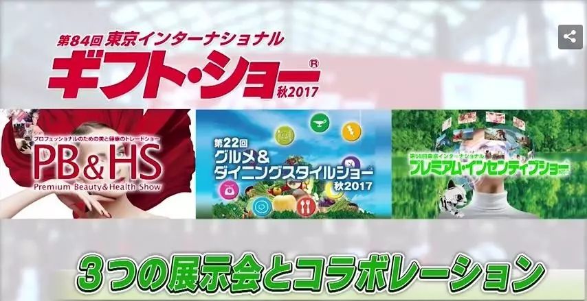 王中王84期指一生肖，深度解析與預測，王中王84期生肖深度解析與預測報告