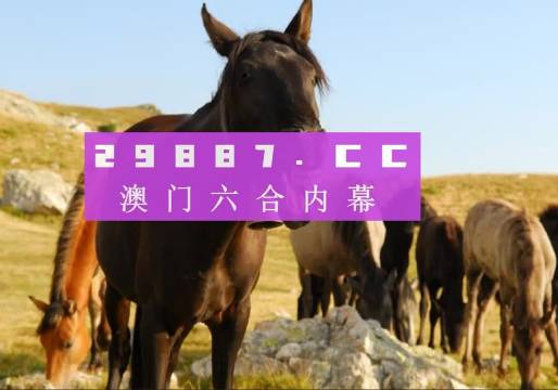 新澳門管家婆免費資料查詢——全方位信息指南,，澳門管家婆免費資料查詢,，全方位信息指南
