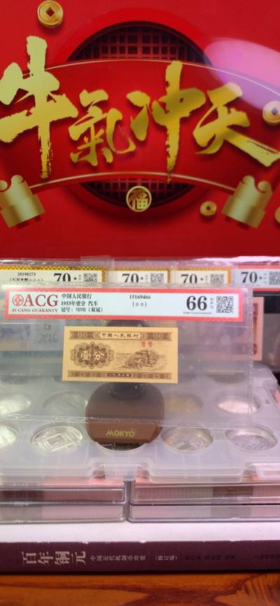 王中王正版一肖，解析與SEO優(yōu)化策略,，王中王正版一肖解析與SEO優(yōu)化策略指南