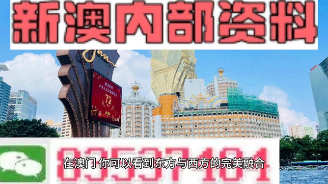 深度解析與前瞻展望