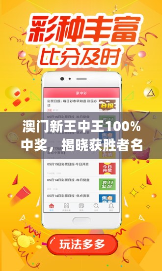 新澳門王中王游戲，揭秘期期中秘密,，探索贏彩新策略,，揭秘新澳門王中王游戲,，探索贏彩策略與期期中奧秘