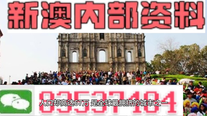 新澳精準(zhǔn)資料免費(fèi)提供第510期,，探索前沿資訊的世界，新澳精準(zhǔn)資料第510期,，前沿資訊探索之旅