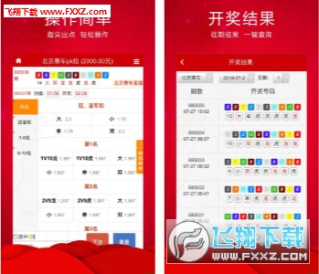 查看王中王三肖開獎一，全面解析彩票開獎過程與技巧，王中王三肖開獎全面解析，彩票開獎過程與技巧揭秘