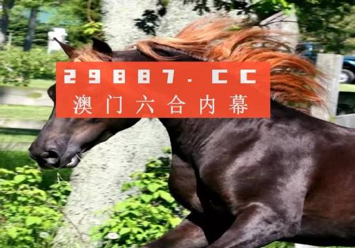澳門夜明珠八百圖庫開獎最快——探索澳門博彩文化中的夜明珠魅力與圖庫奧秘，澳門夜明珠魅力揭秘，圖庫開獎速度與博彩文化探索