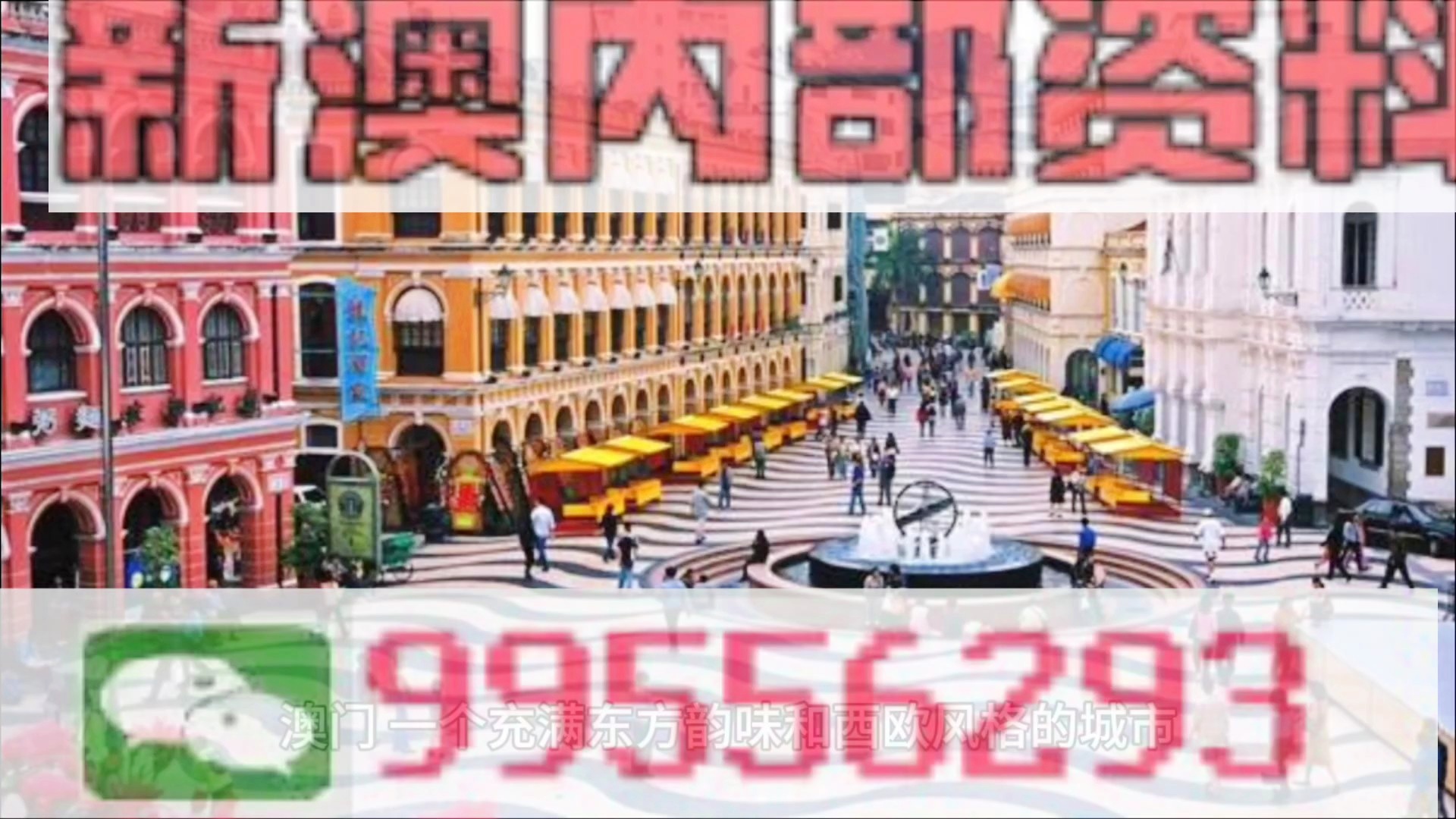 新澳門期期準(zhǔn)，探索澳門的魅力與未來發(fā)展，澳門魅力探秘與未來發(fā)展展望