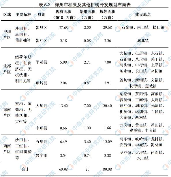揭秘未來藍(lán)圖，2025精準(zhǔn)資料免費(fèi)大全,，揭秘未來藍(lán)圖,，2025精準(zhǔn)資料免費(fèi)大全手冊