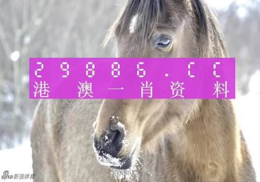 澳門一肖一碼100%準(zhǔn)確預(yù)測——揭秘獨(dú)家秘籍,，獨(dú)家揭秘，澳門一肖一碼精準(zhǔn)預(yù)測秘籍