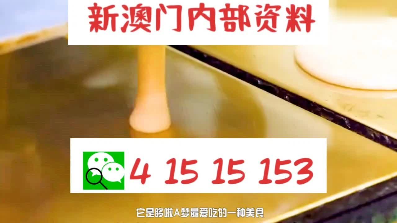 新澳門一肖中特的獨(dú)特魅力與探索，澳門新特色，一肖中特的獨(dú)特魅力與探索之旅
