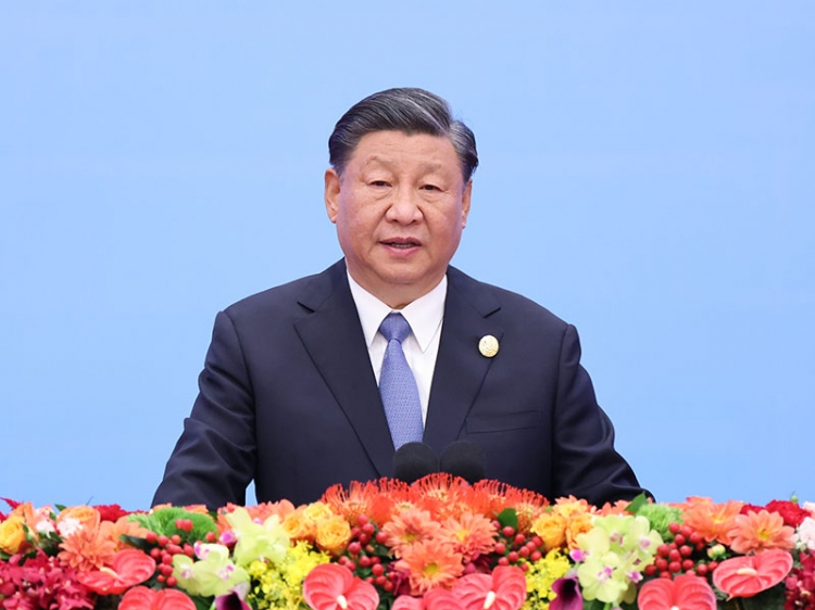 王中王特寫論平特一肖，深度解析與探索，王中王特寫解析與探索，平特一肖的深度洞察