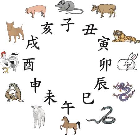 王中王019指一生肖——深度解讀與SEO策略，王中王生肖揭秘，深度解讀與SEO策略實(shí)戰(zhàn)指南