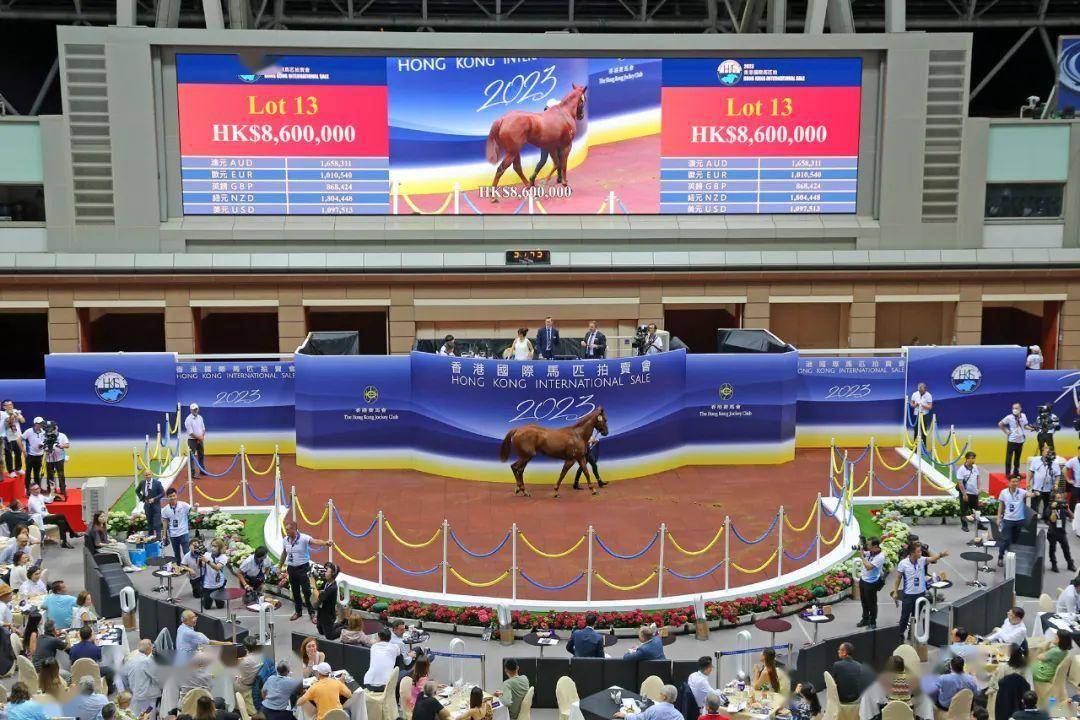 2023年香港馬開獎記錄回顧與解析，2023年香港馬開獎記錄回顧與解析，透視開獎數(shù)據(jù)，洞悉未來趨勢