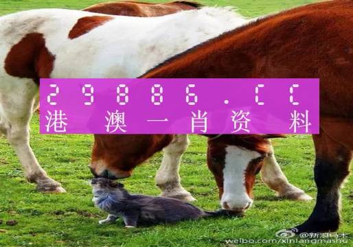 澳門一碼中一肖，最新更新日期與預(yù)測(cè)分析，澳門一碼精準(zhǔn)預(yù)測(cè)分析，最新更新與生肖預(yù)測(cè)解析