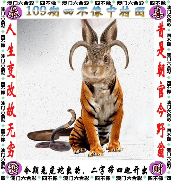 四不像一肖中特王中王——揭秘生肖奧秘與獨(dú)特魅力，揭秘生肖奧秘與獨(dú)特魅力，四不像一肖中特王中王揭秘揭曉！