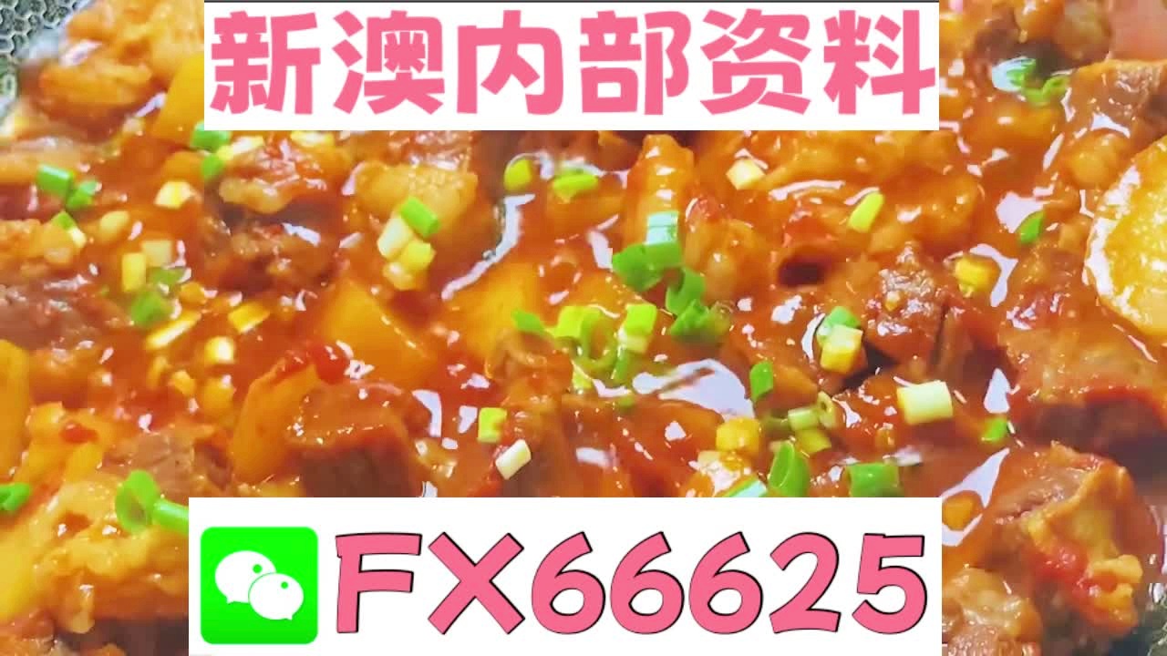 新澳門免費資料大全在線查看,，探索與體驗，澳門免費資料在線探索與體驗大全