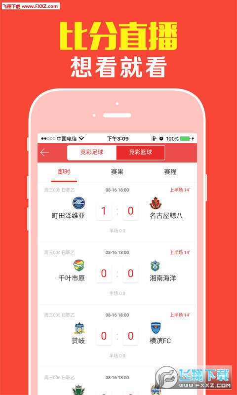 揭秘王中王肖一碼大公開，真相背后的故事，揭秘王中王肖一碼真相背后的故事