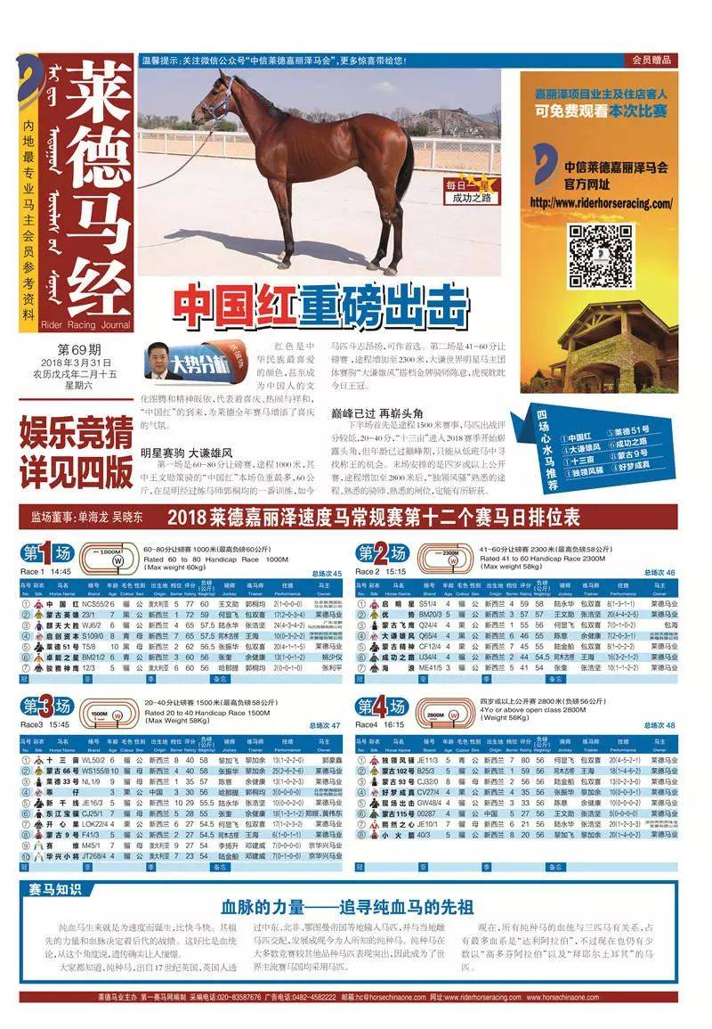 王中王馬經(jīng)圖一肖中特，深度解析與SEO優(yōu)化策略，王中王馬經(jīng)圖一肖深度解析與SEO優(yōu)化策略指南
