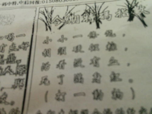 揭秘必中劉伯溫猜一生肖的神秘面紗,，揭秘劉伯溫生肖預(yù)測(cè)背后的神秘面紗