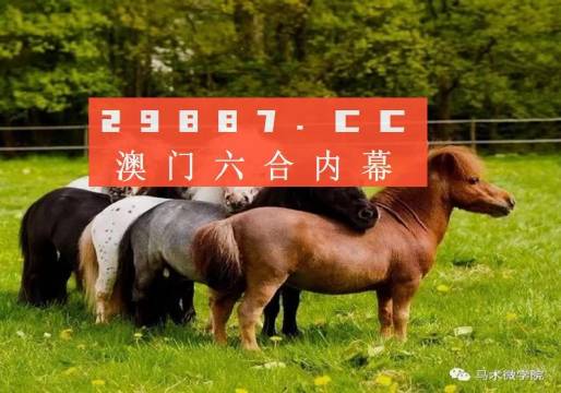 王中王四不像一肖中特，揭秘背后的奧秘與探索無(wú)限可能，揭秘王中王四不像一肖中特背后的奧秘與無(wú)限探索之旅