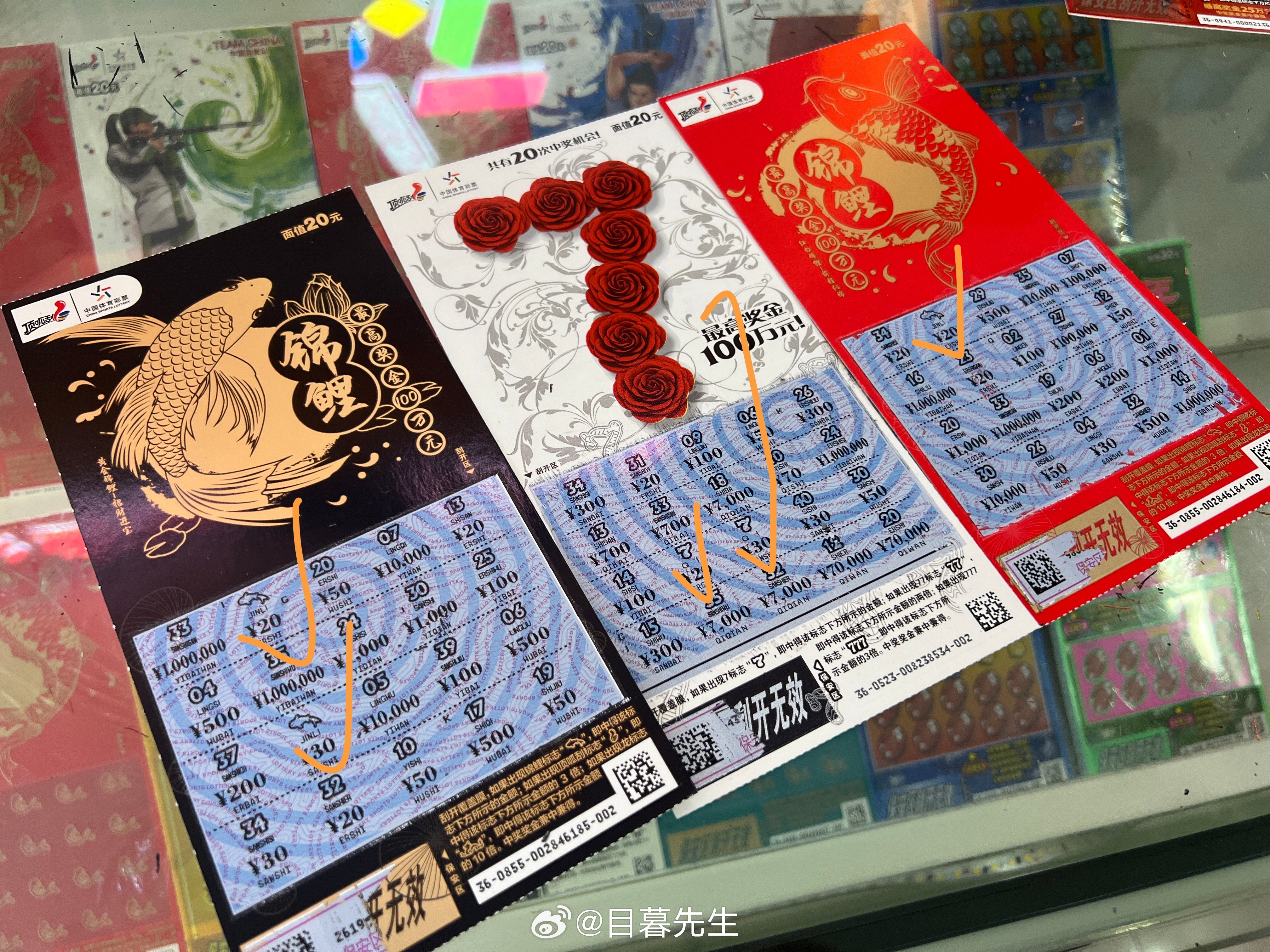 全年王中王一肖中特，深度解析與SEO優(yōu)化策略，全年王中王一肖中特深度解析與SEO優(yōu)化策略全攻略