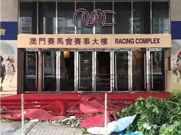 馬會傳真，探索澳門賽馬文化的魅力，澳門賽馬文化探索，馬會傳真的魅力