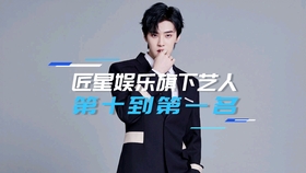 娛樂(lè)明星小說(shuō)排行榜前十名，揭秘?zé)衢T(mén)小說(shuō)背后的故事，娛樂(lè)明星小說(shuō)排行榜TOP10，熱門(mén)小說(shuō)背后的故事揭秘