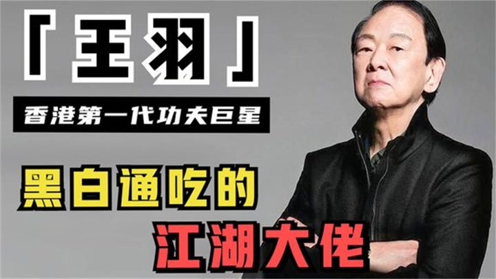 王羽個(gè)人資料，探索個(gè)人背景的深度之旅，王羽個(gè)人背景深度探索之旅