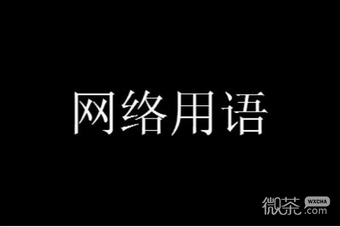 揭秘421事件背后的真相與含義，揭秘421事件背后的真相深度解析