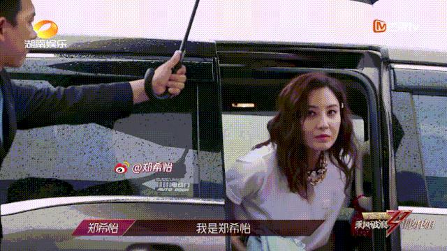 金莎個(gè)人資料簡(jiǎn)介及老公，深度探索，金莎個(gè)人資料與老公揭秘，深度探究之旅