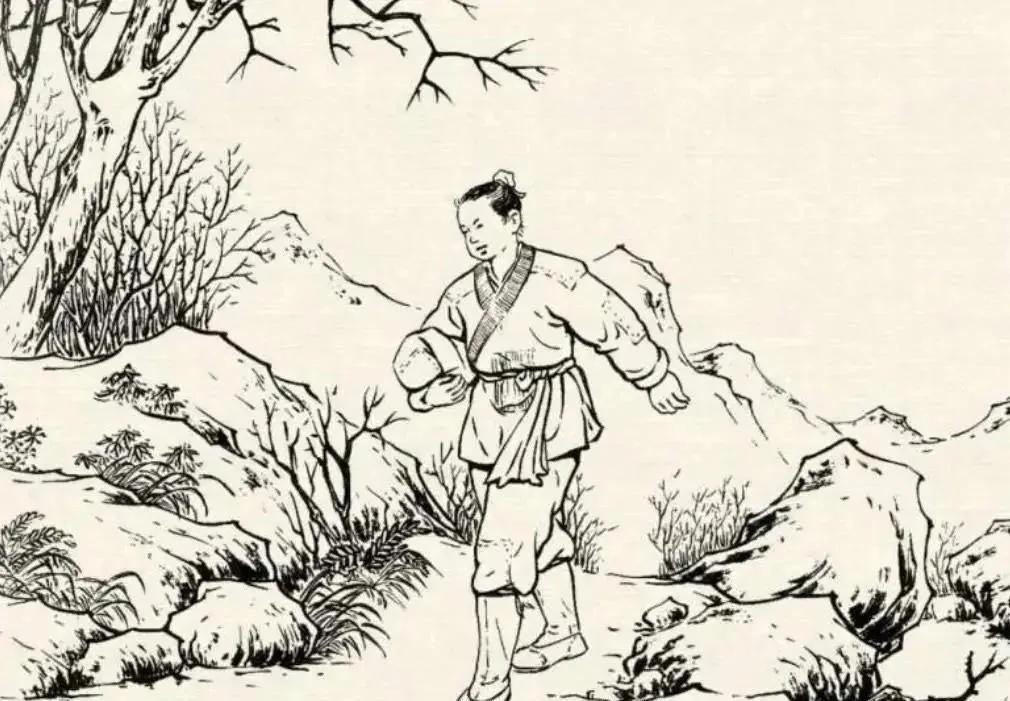 徐翠翠個人資料及老公，深度解析，徐翠翠個人背景及老公深度揭秘