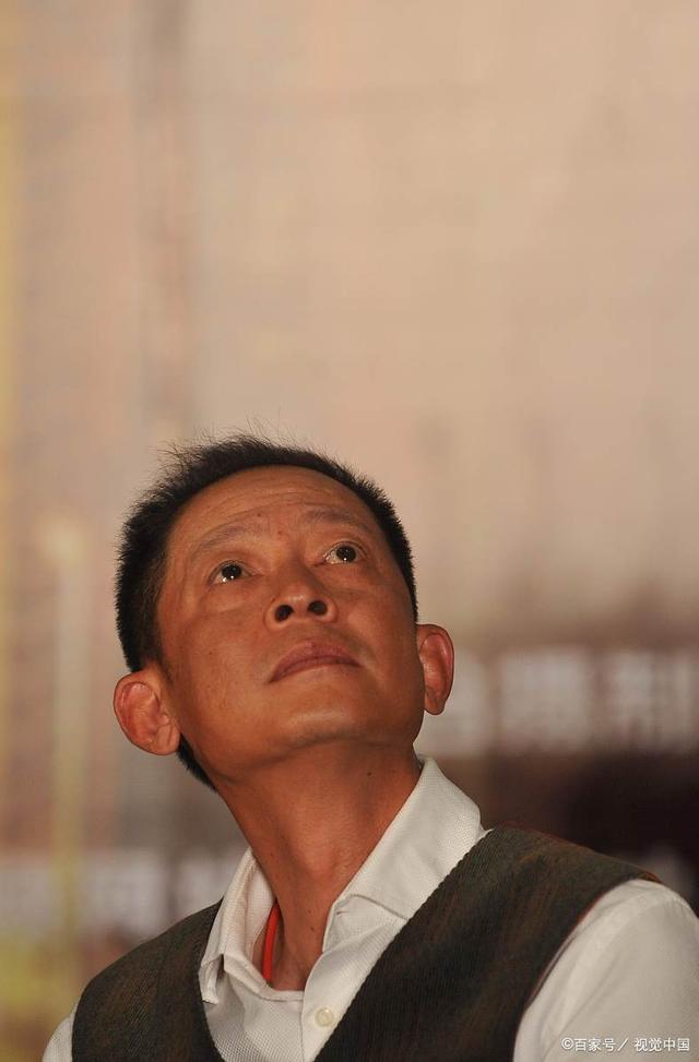 王志文演員，演藝之路與魅力無(wú)限，王志文，演藝之路璀璨，魅力無(wú)限綻放