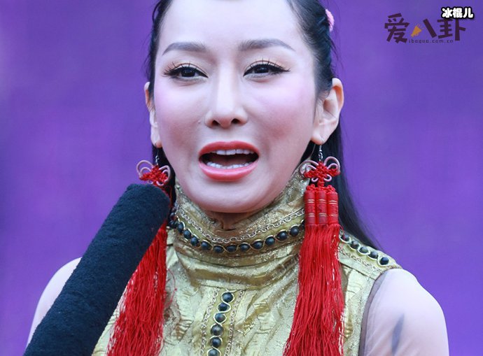 薩頂頂個人資料簡介，民族之光的璀璨明珠，薩頂頂，民族之光璀璨明珠的傳奇人生簡介