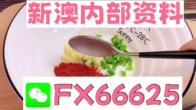 新澳正版資料免費(fèi)提供，全面解析與深度探索，新澳正版資料全面解析與深度探索，免費(fèi)提供的指南