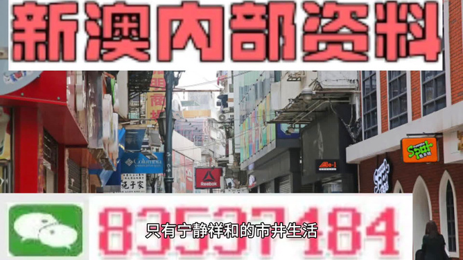 新門內(nèi)部資料精準(zhǔn)大全，深度解析與探索，新門內(nèi)部資料深度解析與探索秘籍大全